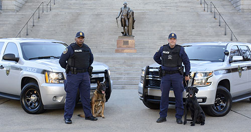 k9 protective services