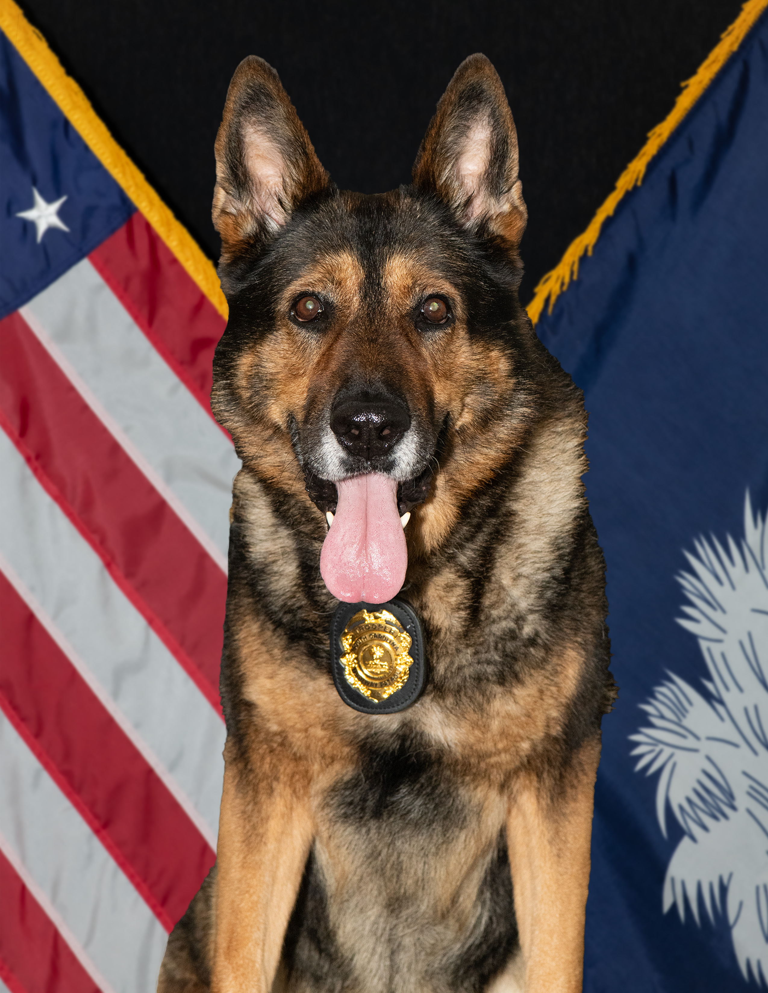 K9 Radford