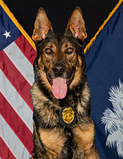 K9 Alverson