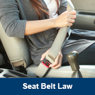 Seat_Belt_Law