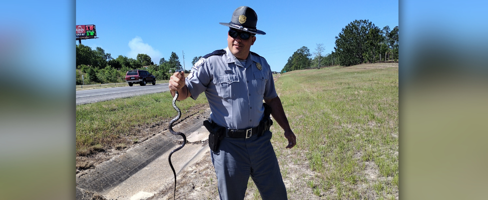 Trooper with snake on side of road