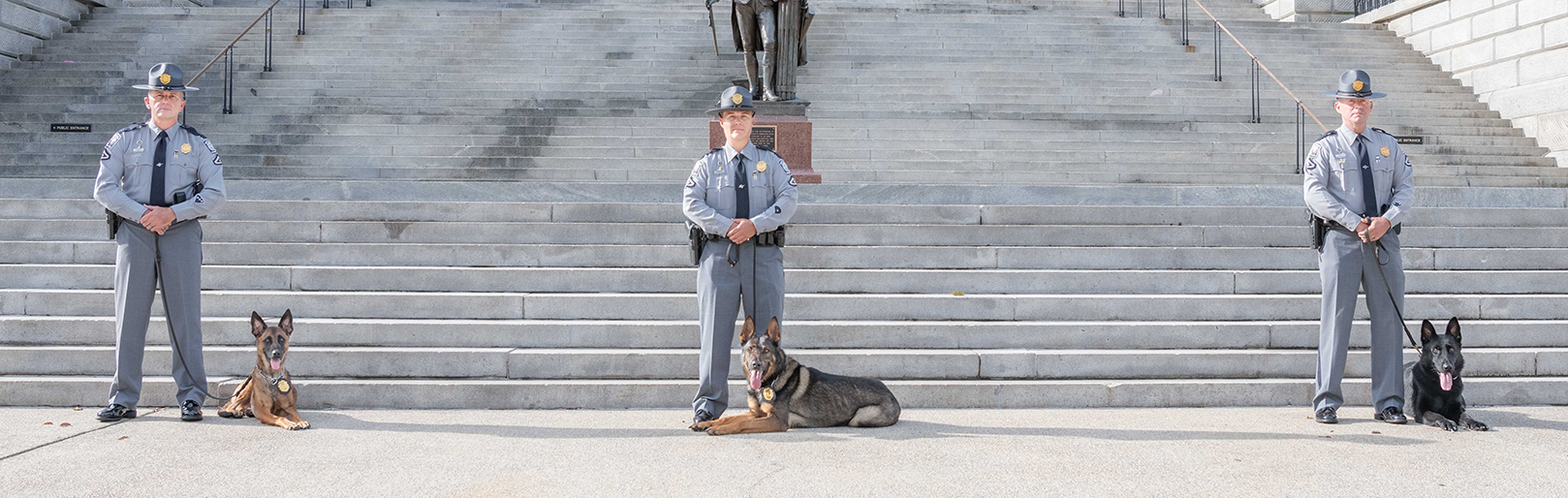 Three K9 Group