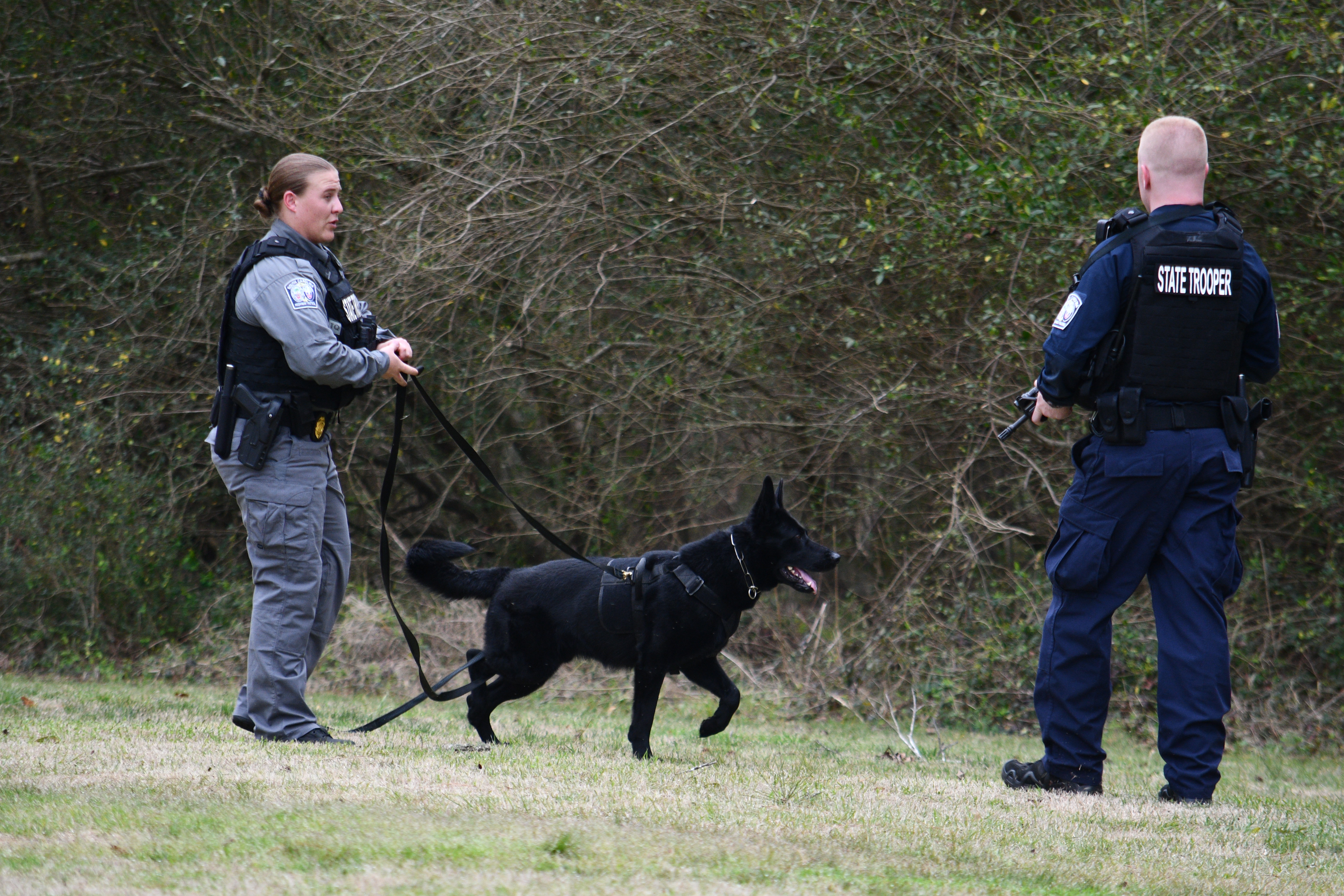 K9 Training